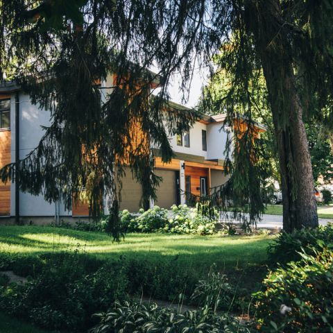 Image depicting the Service Residential Tree Service